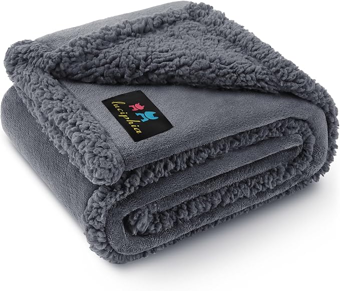 Waterproof Pet Blanket, Liquid Pee Proof Dog Blanket for Sofa Bed Couch, Reversible Sherpa Fleece Furniture Protector Cover for Small Medium Large Dogs Cats, Dark Gray Small（40" x 28"） by luciphia