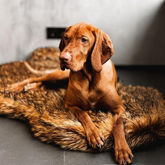 Faux Fur Orthopedic Dog Bed, Memory Foam, Brown 60"x35" | Plush Washable Dog Rug with Waterproof Machine Washable Cover, Calming for Anxious Senior Dogs, Relieves Joints by iHappyDog