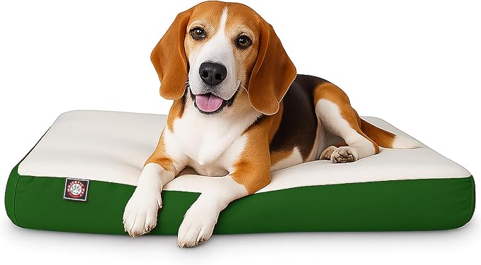 Majestic Pet 34x24x3 Inch Green Orthopedic Memory Foam Rectangle Dog Bed – Medium Size Crate Dog Bed for Dogs with Joint Pain, Arthritis – Durable Pet Mattress with Egg Crate Foam, Washable Cover by MajesticPet