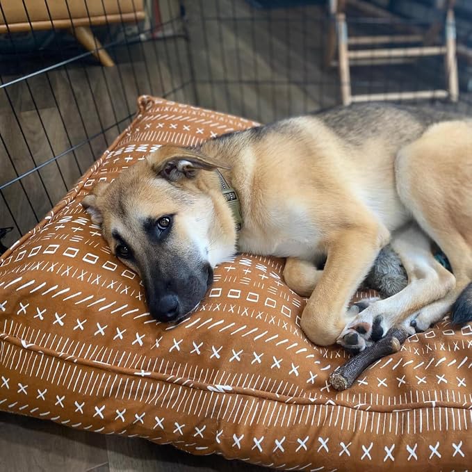 Molly Mutt Everywhere Dog Bed Duvet Cover, 100% Cotton Canvas Cover for Dog, Puppy, or Cat Bed, Durable, Washable, and Free of Harmful Chemicals, Small, 22"x27"x5" - Image 3