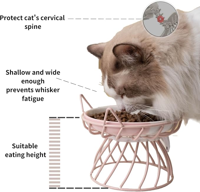 Elevated Ceramic Cat Bowl, Detachable Design, Yellow | Detachable Bowl Elevated Design Whisker Friendly Non-Slip Pads Premium Ceramic - Image 3
