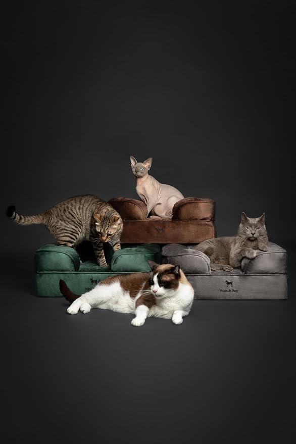 NOAH & PAW Small Dog Bed, 20x15x8 Inch, Cat Bed for Indoor Cats, Orthopedic Eggshell Memory Foam Infused with Cooling Gel, Water Resistant Inner Cover Machine Washable (Velvet Collection) - Image 7
