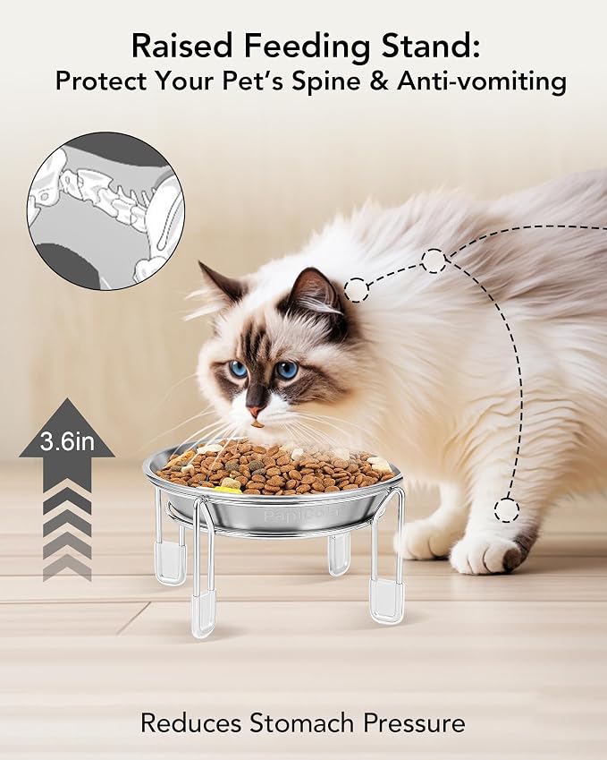 Elevated cat Bowl 2PC, 6.3" Wide Raised Cat Bowl | Stainless Steel Cat Food and Water Dishes, Small Dog Bowl, Whisker Friendly, Anti-Vomiting, Neck Stress-Free Bowl Stands - Image 2