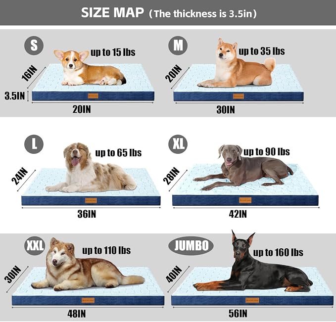 Patas Lague Orthopedic Large Dog Bed Washable Pet Crate Mat 48''X30'' Blue | Egg-Crate Foam Dog Couch For Large Sized Dogs, Waterproof Removable Cover, Soft Pet Bed With Nonskid Bottom - Image 5