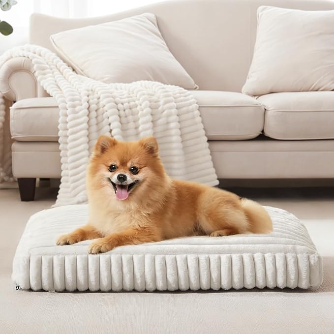 Dog Beds for Small Dogs, Flat Pet Beds with Removable Washable Cover, Pet Mat Cute Dog Crate Bed Thick Shredded Chopped Crate Foam & Anti Slip Bottom for Indoor, 23"x18"x3" Cream by FURTIME