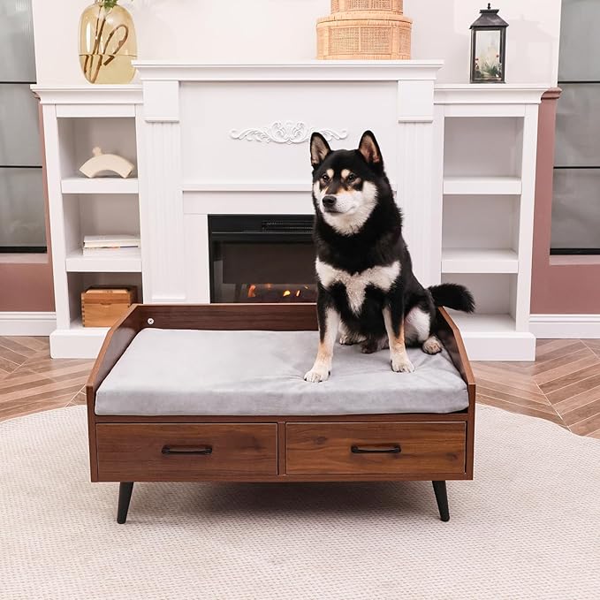 Elevated Dog Bed for Small to Medium Dogs – 32” x 21” Indoor Wooden Pet Sofa with Soft Cushion, Mid-Century Modern Style, Sturdy & Stylish (Walnut)