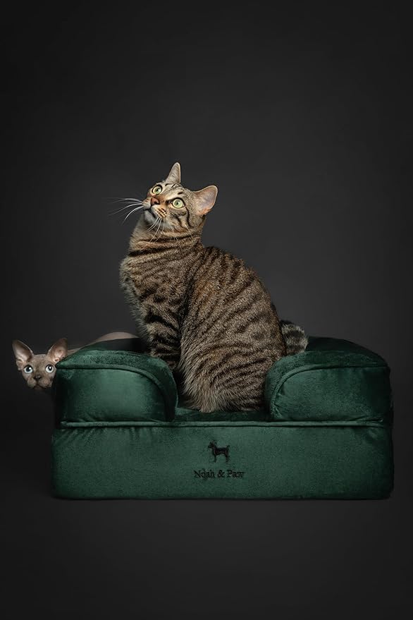 NOAH & PAW Small Dog Bed, 20x15x8 Inch, Cat Bed for Indoor Cats, Orthopedic Eggshell Memory Foam Infused with Cooling Gel, Water Resistant Inner Cover Machine Washable (Velvet Collection) - Image 3