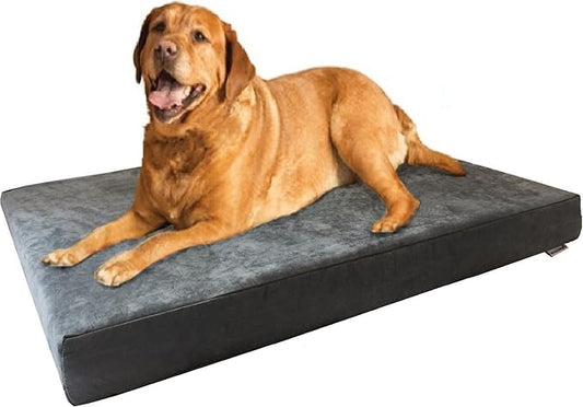 Dogbed4less Waterproof Orthopedic Cooling Memory Dog Bed for Large and Extra Large Dogs, Suede Gray Color, Jumbo 55X47X4 Inches by Dogbed4less