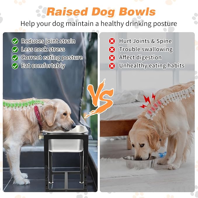 1.25 Gallon Elevated Dog Water Bowl, 4-Height Raised Stand | Stainless Steel Raised Bowl, 4 Heights 9.65-15.16 in, Non-Slip Feet, Small and Medium Dogs, Indoor Outdoor Use, Easy to Clean - Image 5