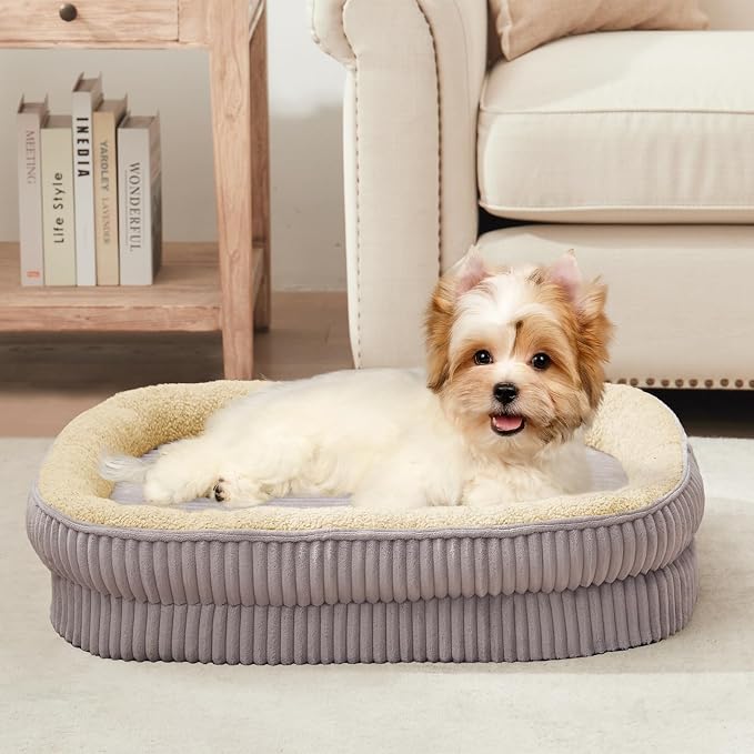 Orthopedic Dog Bed for Small Dogs Breeds, High Density Egg Crate Foam Dog Sofa Beds,Oval Kennel Bed, Pet Couch Bed with Four Sided Bolster, Removable Washable Cover& Non-Slip Bottom by DEBANGHOME