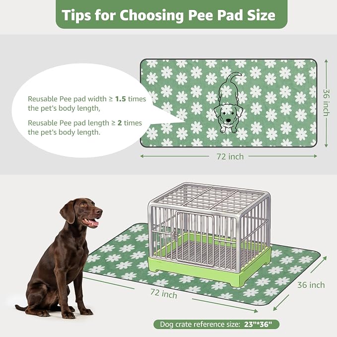 LOOBANI Washable Puppy Pads, Reusable Dog Pee Mat 36"x72", 2 Pack | Super Absorbent, Waterproof, Leakproof, Non-Slip, Soft For Playpen, Crate, Potty Training, Floors - Image 2