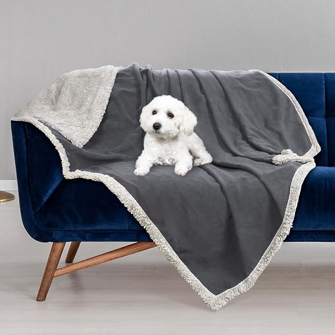 Kritter Planet Waterproof Reversible Pet Blanket for Small Dogs | 30 x 50 Inch, Washable Pet Protector for Sofa, Couch, Crates and Car Seats, Guards Against Fur, Dirt and Everyday Spills - Image 2