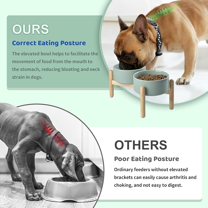 SPUNKYJUNKY Ceramics Elevated Dog Bowls with Wooden Stand Raised Bowl for Medium Large Dog Food and Water Pet Feeding Bowl(Double 60OZ Bowls,Light Green) - Image 3