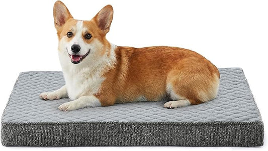 JOEJOY Orthopedic Medium Dog Bed, Washable Dog Crate Bed Medium Sized with Removable Cover, Egg Memory Foam Pet Beds, Light Grey, 29"x18" by JOEJOY