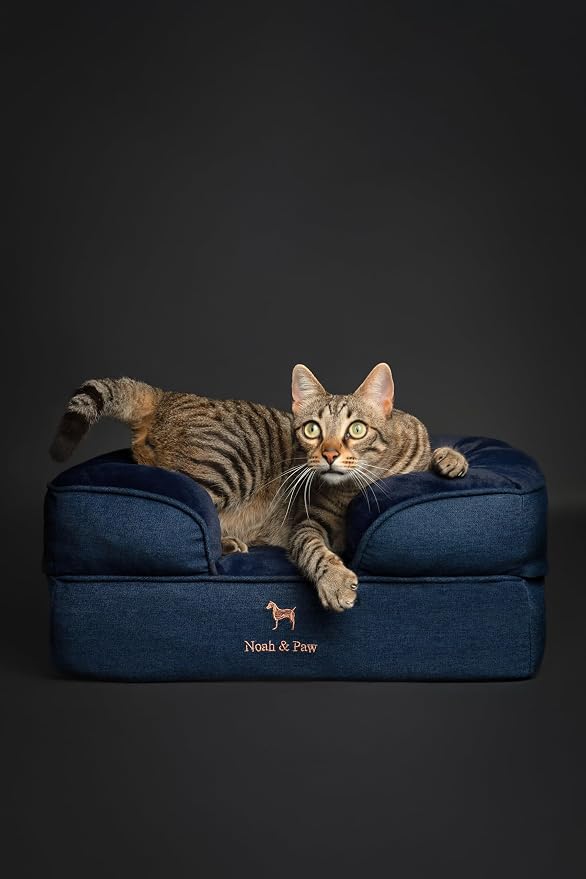 NOAH & PAW Small Dog Bed, 20x15x8 Inch, Cat Bed for Indoor Cats, Orthopedic Eggshell Memory Foam Infused with Cooling Gel, Water Resistant Inner Cover Machine Washable (Denim Collection) - Image 3