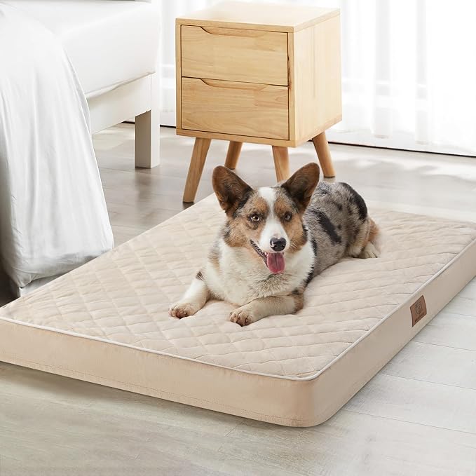 WNPETHOME Orthopedic Waterproof Large Sized Senior Dogs Bed for Comfy Sleep | Washable Ped Bed with Removable Cover, Multi-Needle Quilting Large Dogs Crate Bed for Dog Relax, Beige 36x27 Inch by WNPETHOMEPETSHOME