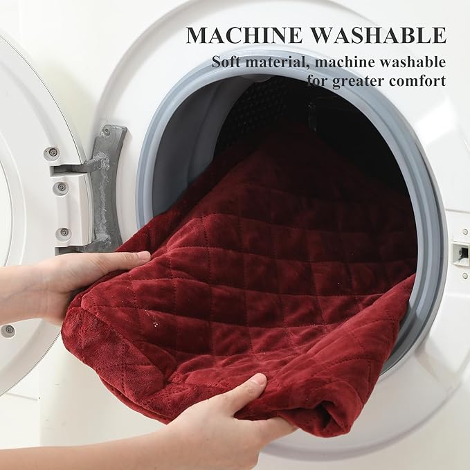 Dog Car Seat for Medium/Large Dogs,2 Clip-On Safety Leashs for 2 Small Dogs,Removable and Washable Comfy Pet Car Seat,Easy to Install and Clean (Red, Large)