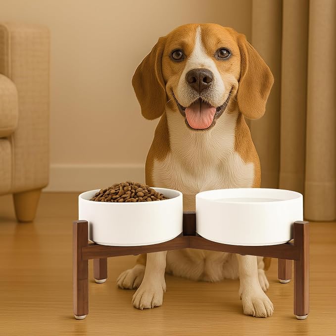SPUNKYJUNKY Raised Ceramic Dog Bowls Set with Non-Slip Acacia Wood Stand for Medium Sized Dog(42.27 OZ, White) - Image 6