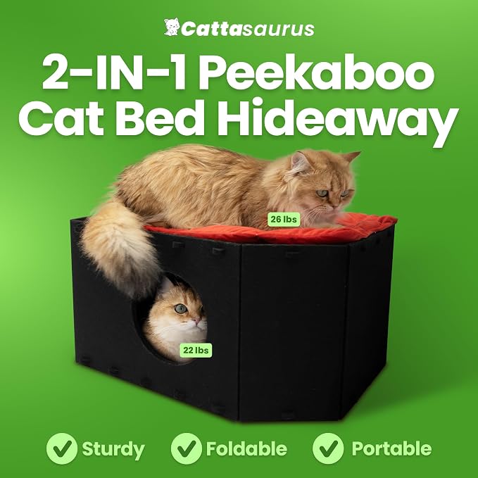 Cattasaurus Holiday Portable Cat House, Foldable Cat Beds for Indoor Cats, Enclosed Peekaboo Cave for Multiple Cats up to 26 lbs, Scratch Resistant Bunk Beds for Halloween, Christmas (Gothic Coffin) - Image 3