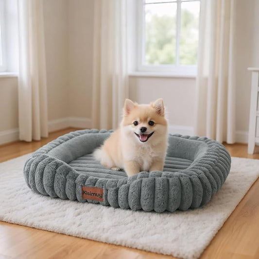 Orthopedic Dog Bed, Memory Foam Bolster Bed for Small Dogs | 25L x 21W x 4H, Bolster Sides Design, Washable Cover, Orthopedic Support Structure, Non-Slip Bottom, Small Dogs, Grey by Unknown