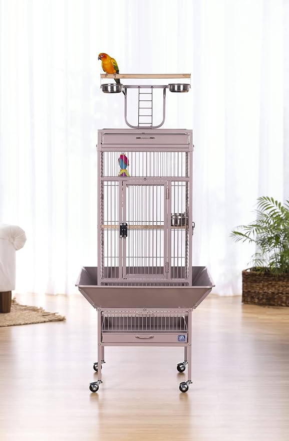 Prevue Pet Playtop Bird Cage - Medium Steel Bird Cage with Integrated Playtop, Rolling Stand, Seed Guards, and Perches, Ideal for Conures and Cockatiels - Blush Finish - Image 2