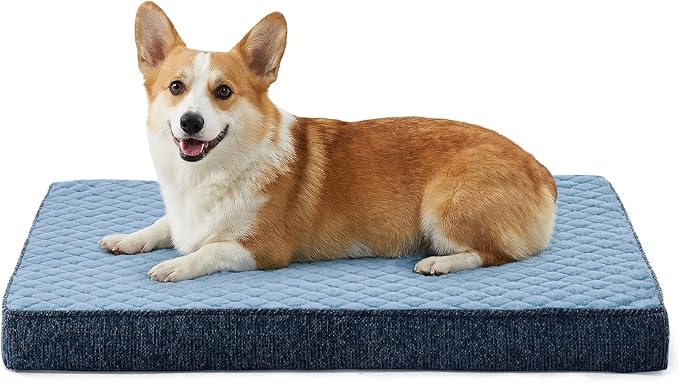 JOEJOY Orthopedic Medium Dog Bed, Washable Dog Crate Bed Medium Sized with Removable Cover, Egg Memory Foam Pet Beds, Blue, 29"x18" by JOEJOY