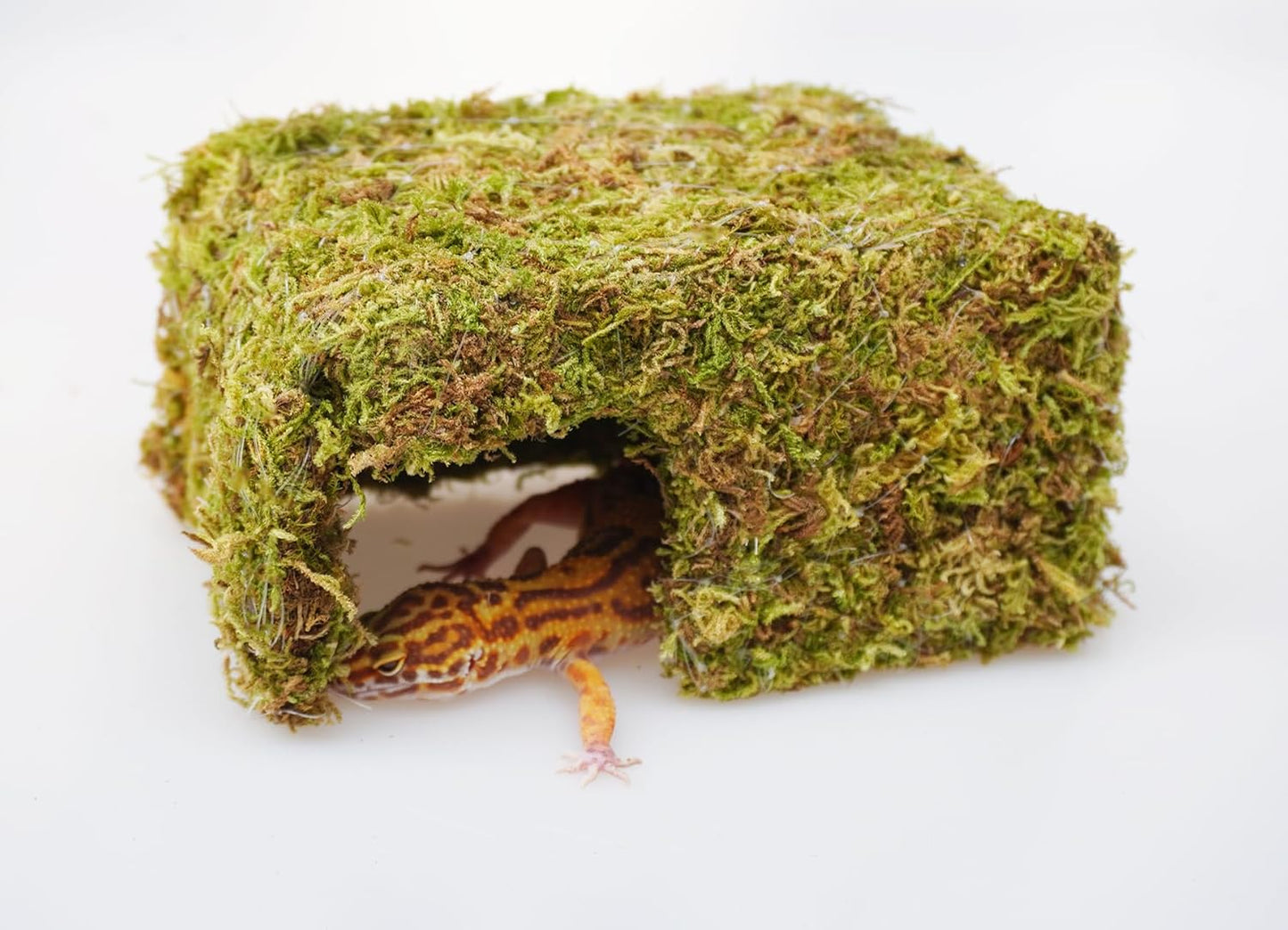 Leopard Gecko Tank Accessories, Cute Reptile Hideout Cave, Essential Tank Terrarium Habitat Decor, Adjustable Toys Supplies