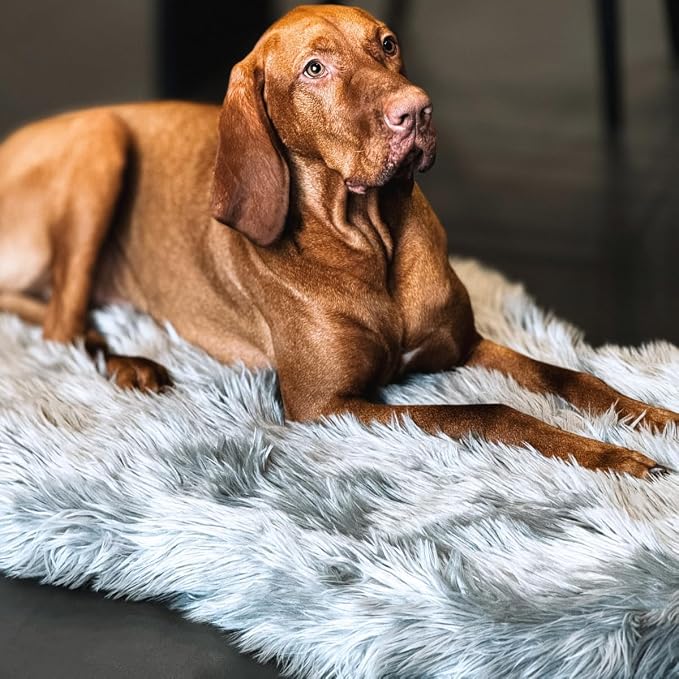Faux Fur Orthopedic Dog Bed, Memory Foam, Grey 50"x30" | Plush Washable Dog Rug with Waterproof Machine Washable Cover, Calming for Anxious Senior Dogs, Relieves Joints - Image 7
