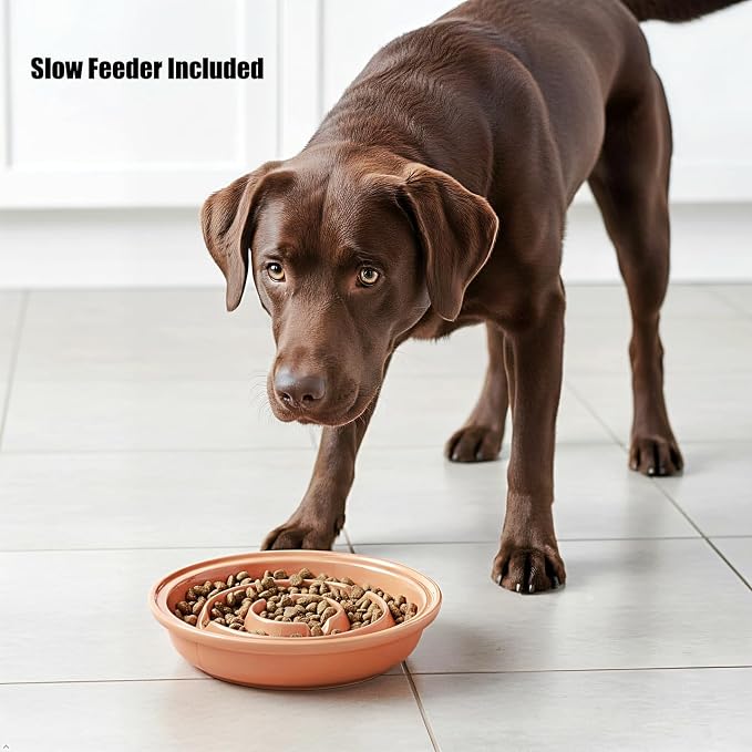 Elevated Dog Bowl Stand with 3 Large Ceramic Bowls – Raised Feeding Station for Medium & Large Dogs, Includes 2 Standard Bowls + 1 Slow Feeder, Durable Iron Frame, Non-Slip (Almond) - Image 3