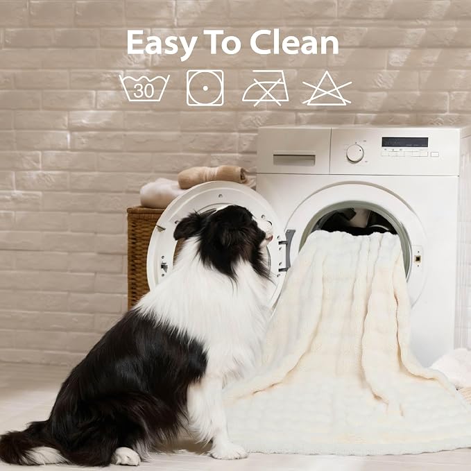 Dog Blankets Washable Pet Blanket - Fluffy Fuzzy Cat Puppy Blanket with Premium 300GSM 3D Fleece Bubble for Pet Kitten Doggy, Cream, 60x80IN - Image 3