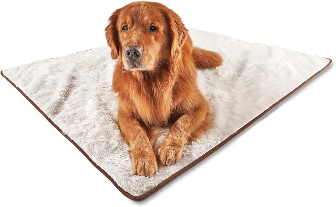 PupProtector Waterproof Throw Blanket for Dogs and Cats, Pet Blanket Cover for Couches, Sofas, Beds, Car Seats, Furniture, Calming Soft Faux Fur, Short White, Large (80" L x 62" W) | Waterproof, machine washable — protects couches, beds & car seats by PAWBRANDS