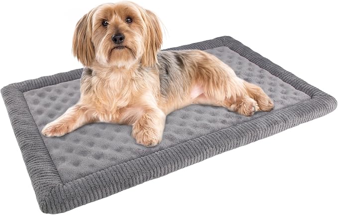 Dog Crate Pad 24x17 inch Gray Memory Foam Dog Bed Mat for Small Dog Cat Grey Washable Puppy Sleeping Bed Anti Slip by PAGGEDHOME