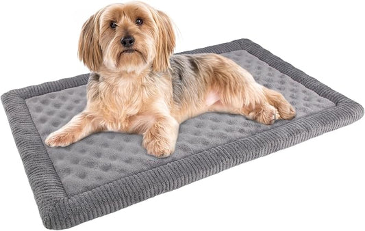 Dog Crate Pad 24x17 inch Gray Memory Foam Dog Bed Mat for Small Dog Cat Grey Washable Puppy Sleeping Bed Anti Slip by PAGGEDHOME