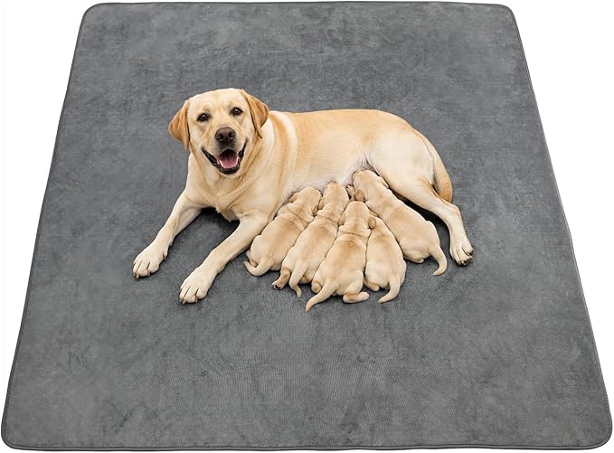 Washable Dog Pee Pads: 34x52 1 Pack Reusable Whelping Pads, Absorb Dog Mats Non-Slip Puppy Training Pads for Whelping, Potty, Training, Playpen, Crate by PICKFORLIFE