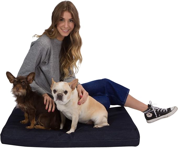 Pet Support Systems Orthopedic Dog Bed - Gel Memory Foam Pet Bed, Luxury Washable Dog Bed for Sleeping and Support (Removable Cover, Medium Blue Dog Bed) by BackSupportSystems