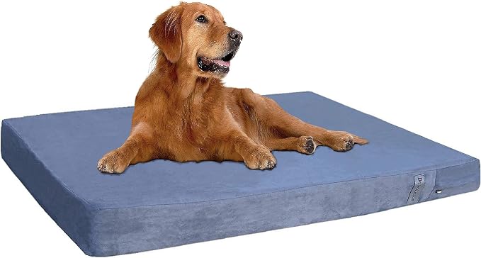 Dogbed4less Orthopedic Gel Memory Foam Pet Dog Bed, Waterproof Liner with External Microsuede Cover and Bonus Antislip Cover (Microsuede Gray, 55"X47"X4" Inches) by Dogbed4less