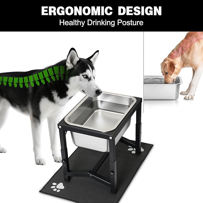 2.8 Gallon Elevated Large Dog Water Bowl, 4 Adjustable Height 10.5-15.8'' Raised Stainless Steel Bowl Stand with Anti-Slip Mat for Large Breed, Metal Dog Feeding Station for Relief Joint Pressure - Image 2