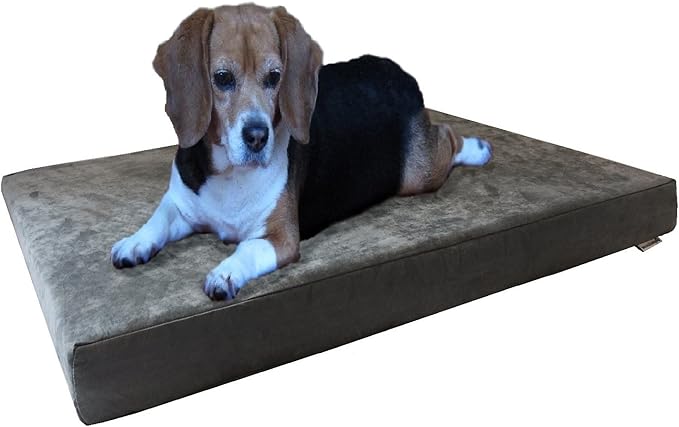 Dogbed4less Orthopedic Gel Infused Memory Foam Dog Bed with Washable Suede Gray Cover and Waterproof Internal Liner, Medium Large by Dogbed4less