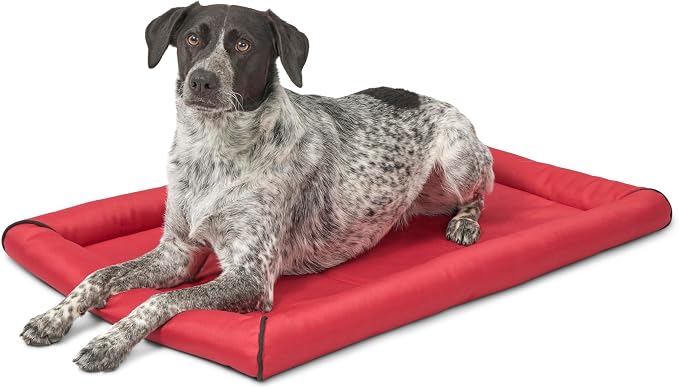 MidWest Homes for Pets Ultra-Rugged MAXX Dog Bed, Water Repellent, Easy Wipe Clean, Super Durable, Fits 36-Inch Dog Crates, Red, Polyester, 22.45"L x 17.33"W x 3"H by MidWestHomesForPets