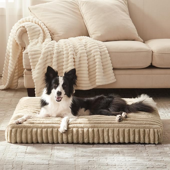 Dog Beds Large Sized Dog, Flat Pet Beds with Removable Washable Cover, Pet Mat Cute Pet Crate Bed Thick Shredded Chopped Crate Foam & Anti Slip Bottom for Indoor, 35"x23"x4" Beige by FURTIME