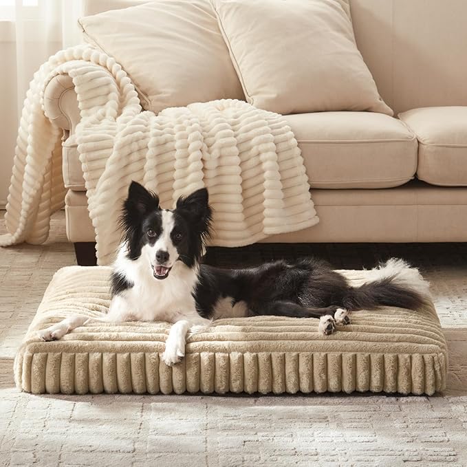 XL Dog Bed, Flat Pet Beds with Removable Washable Cover, Pet Mat Cute Dog Crate Bed Thick Shredded Chopped Crate Foam & Anti Slip Bottom for Indoor, 42"x27"x4" - Image 8