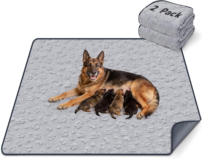 LOOBANI 2 Pack Extra Large Washable Pee Pads for Dogs 48"x48", Gray | Non-Slip Reusable Dog Mat, Super Absorbent & Waterproof Whelping Pads For Floor, Bed, Incontinence, Housebreak, Leak-Proof by LOOBANI