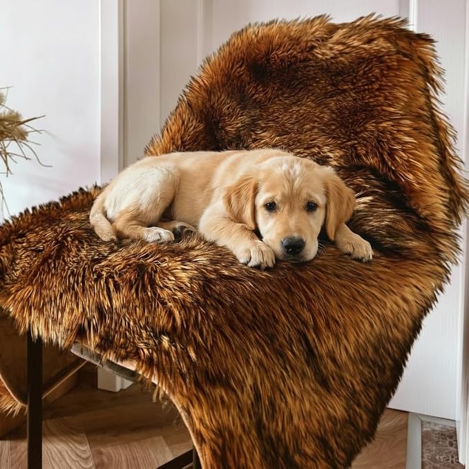 IHAPPYDOG Faux Fur Dog Blanket, Waterproof Couch Cover, Brown 60"x50" | Plush Sheepskin Style Pet Throw for Sofa, Bed, and Car, Washable Furniture Cover that Protects From Fur and Spills - Image 4