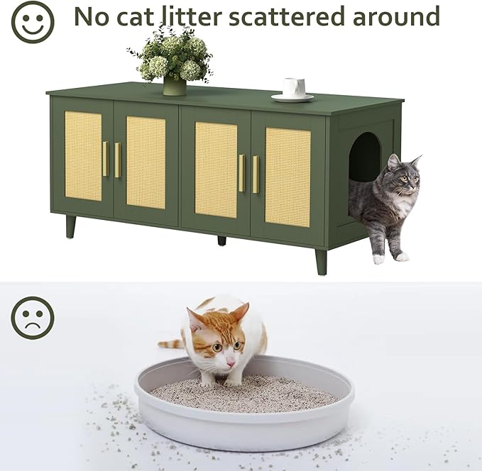 Homhedy Boho Cat Litter Box Enclosure for 2 Cats, Green and Natural | Hidden Litter Box Furniture with Double Rattan Decorated Doors, Cat Washroom, Cat House, Dog-Proof, TV Stand - Image 5