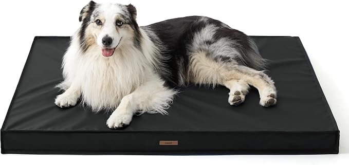 LE SURE Outdoor Waterproof Dog Beds Large Sized,Orthopedic Pet Mat,36x27In | Crate Pad for Dogs with Oxford Fabric Surface,Removable Washable Cover,Egg Foam Kennel Pads,Non slip Bottom,Black by Lesure