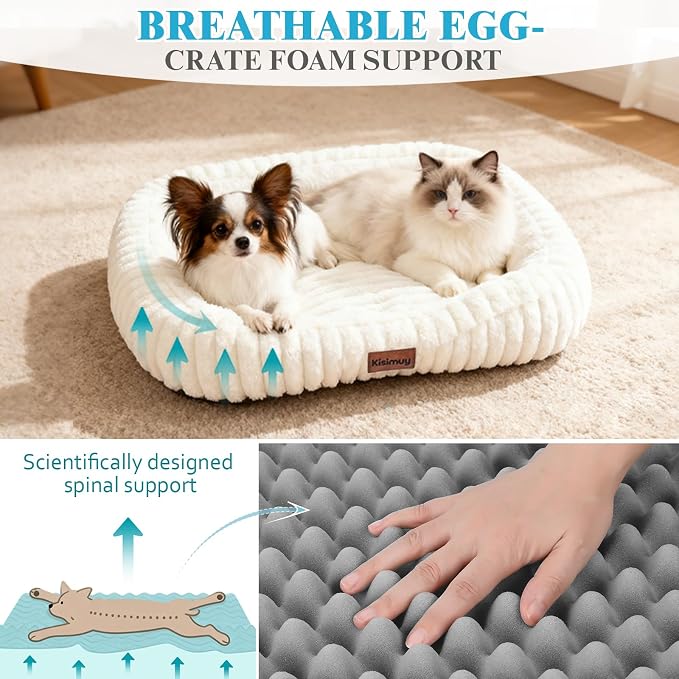 Orthopedic Dog Bed, Washable Small Dog Couch for Senior Dogs | 25L x 21W x 4H, Egg-Crate Foam, Low Front Entry Design, Removable Cover, Non-Slip Bottom, Small Dogs, Cream - Image 3
