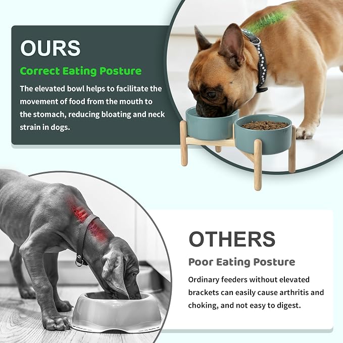SPUNKYJUNKY Ceramics Elevated Dog Feeding Stand with Wooden Base - Double 60oz Bowls for Medium Large Dogs (Dark Green) - Image 3