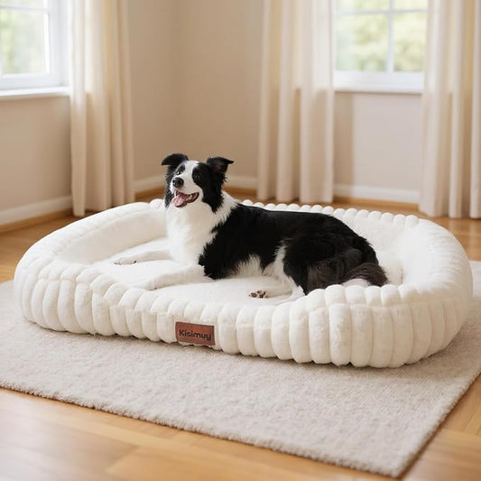 Orthopedic Dog Bed, Washable XXL Dog Couch for Senior Dogs | 43L x 31W x 5.5H, Egg-Crate Foam, Low Front Entry Design, Removable Cover, Non-Slip Bottom, Extra Large Dog Bed, Cream by Unknown
