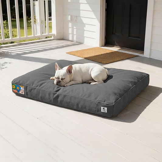 Sytopia Durable Dog Beds for Medium Dogs with Machine Washable Cover,Dark Grey, Medium by Sytopia
