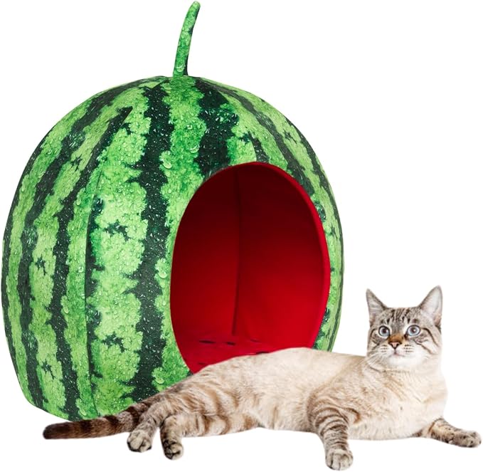 YML Watermelon Pet Bed - Cute Calming Fruit Bed with Removable Cushion for Dogs, Indoor Cats, Rabbits, Small Animals - 20 Inch, Green, Red by YML